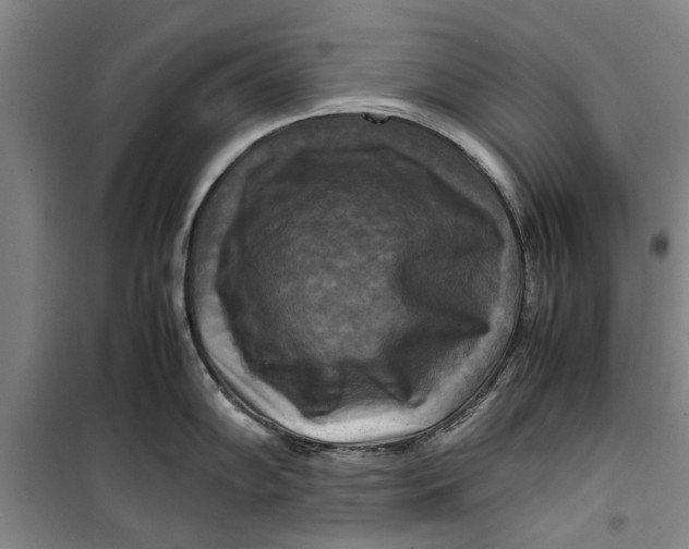 X0000099411102200805301340