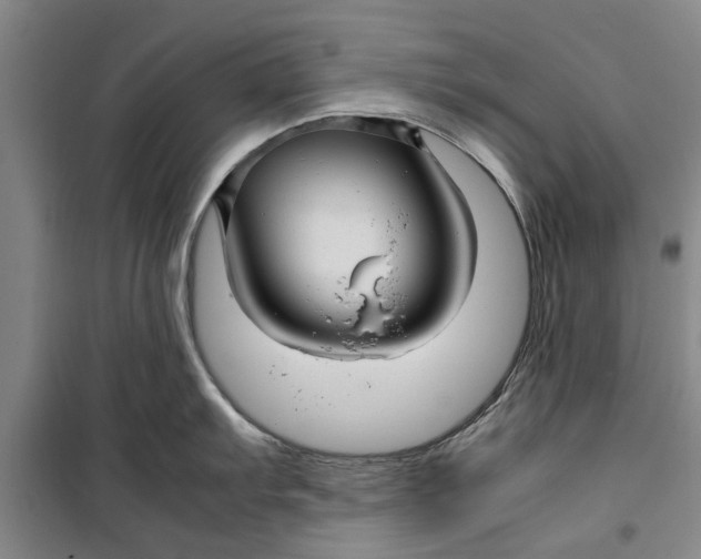 X0000099411103200805301340