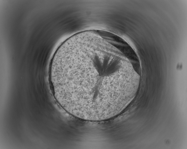 X0000099411104200805301340