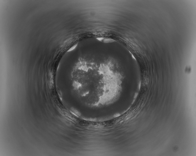 X0000099411106200805301339