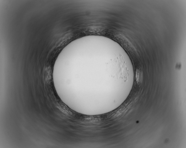 X0000099411107200805301339