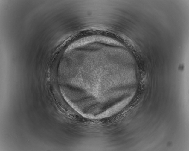 X0000099411110200805301339