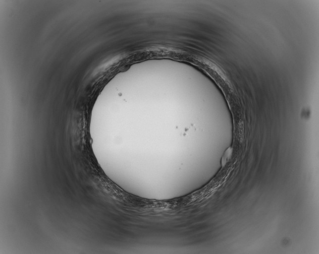 X0000099411111200805301339