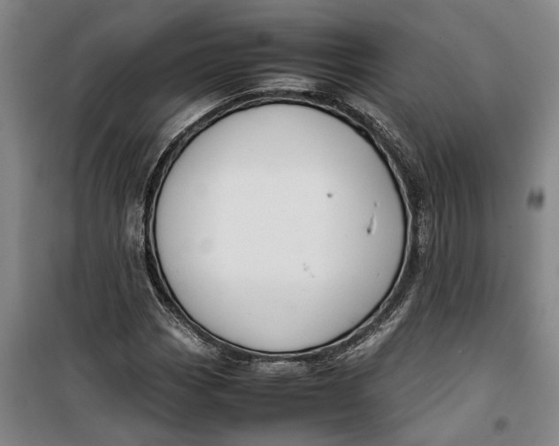 X0000099411113200805301339