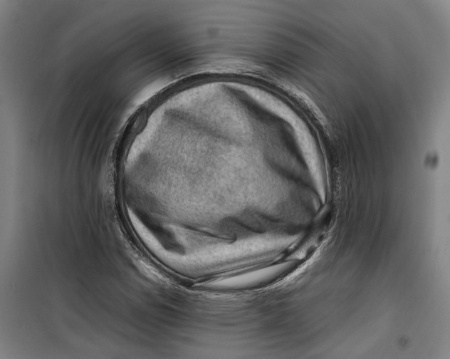 X0000099411114200805301339