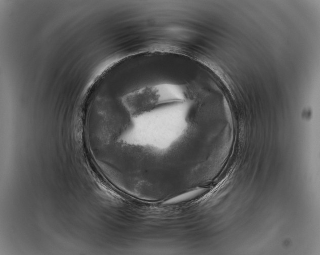 X0000099411115200805301339