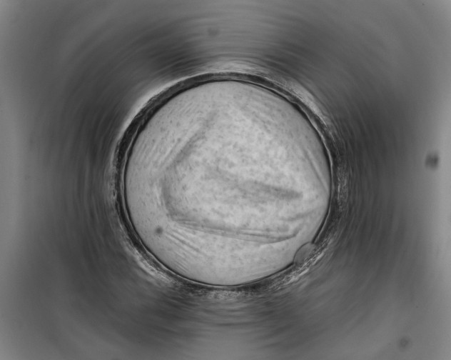 X0000099411116200805301339