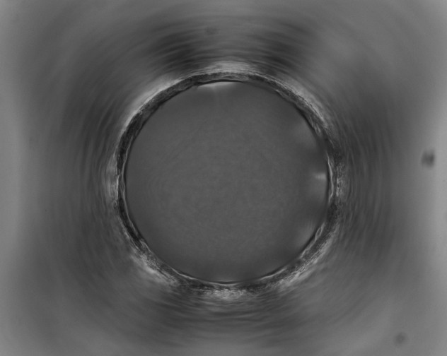 X0000099411117200805301339