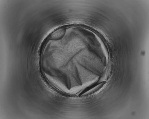 X0000099411118200805301339