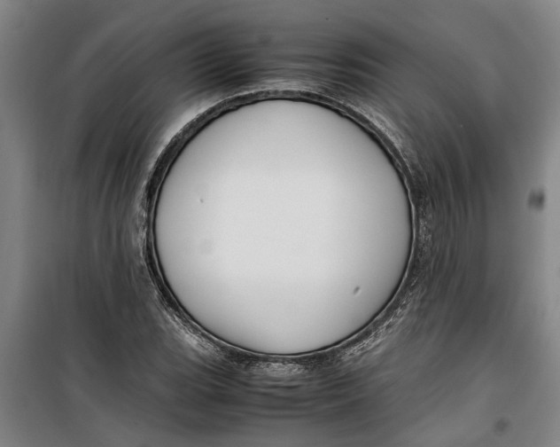 X0000099411119200805301339