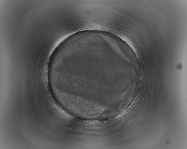 X0000099411120200805301340