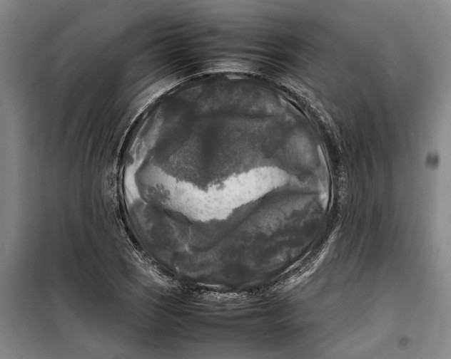 X0000099411121200805301340