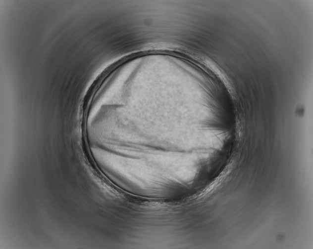 X0000099411124200805301340