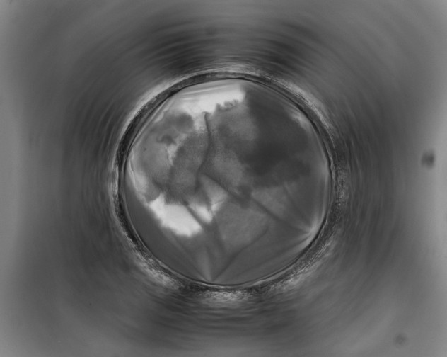 X0000099411125200805301340