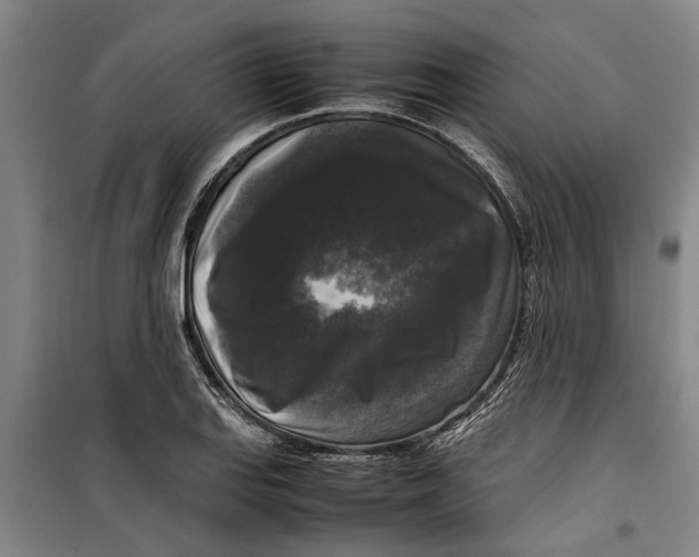 X0000099411127200805301340