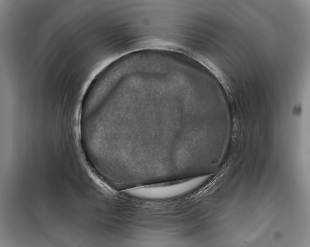 X0000099411128200805301340