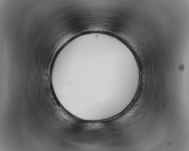 X0000099411129200805301340