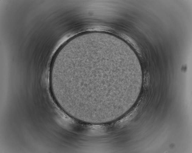 X0000099411130200805301340