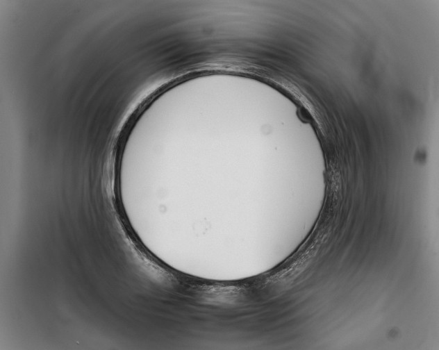 X0000099411131200805301340