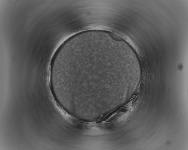 X0000099411132200805301340