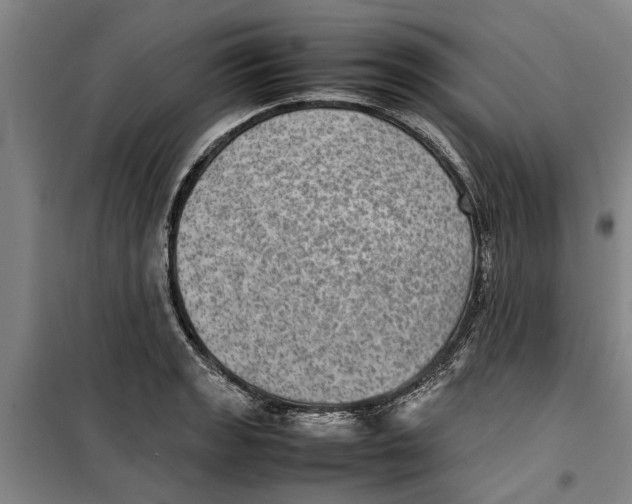 X0000099411133200805301340