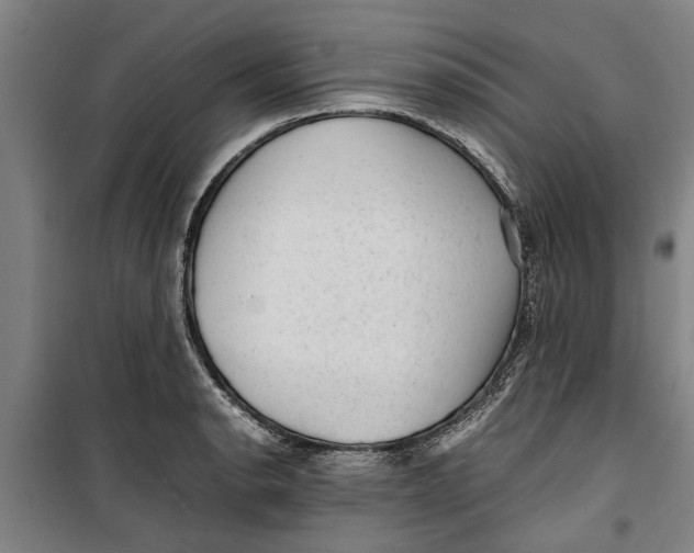 X0000099411134200805301340