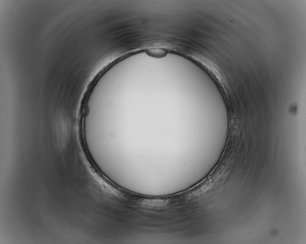 X0000099411135200805301340