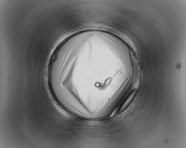 X0000099411136200805301340