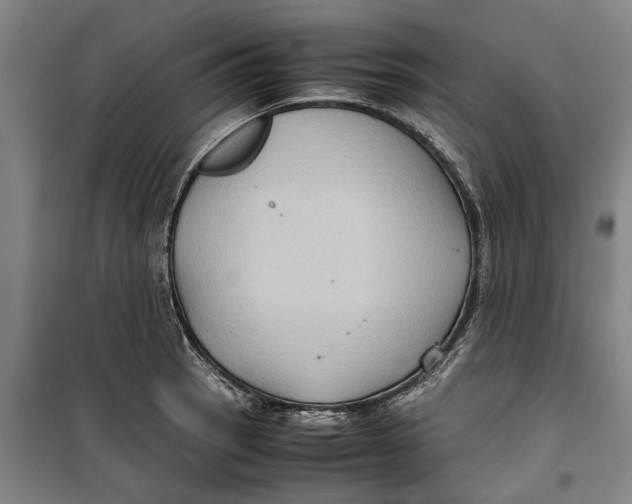 X0000099411137200805301340