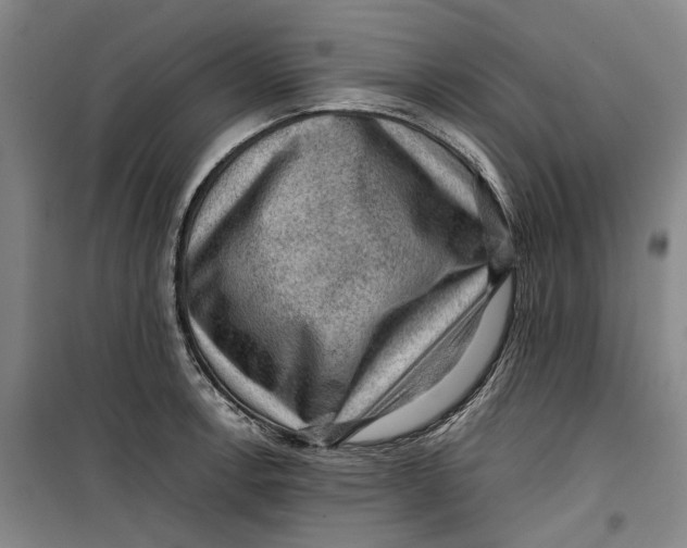 X0000099411138200805301340