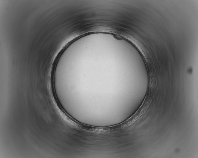 X0000099411139200805301340