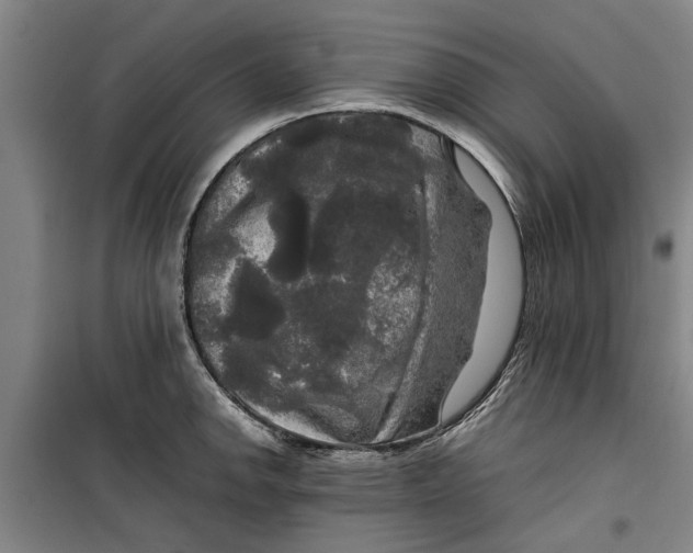 X0000099411142200805301340