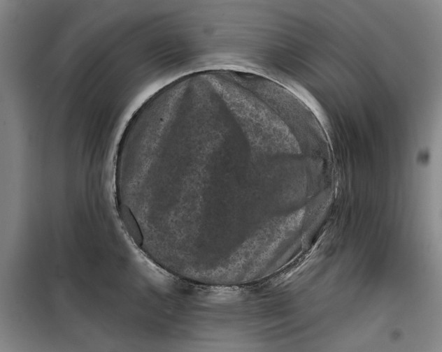 X0000099411144200805301340