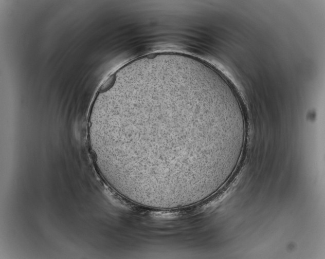 X0000099411145200805301340