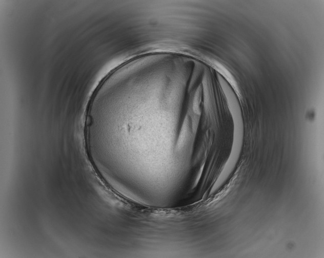 X0000099411146200805301340