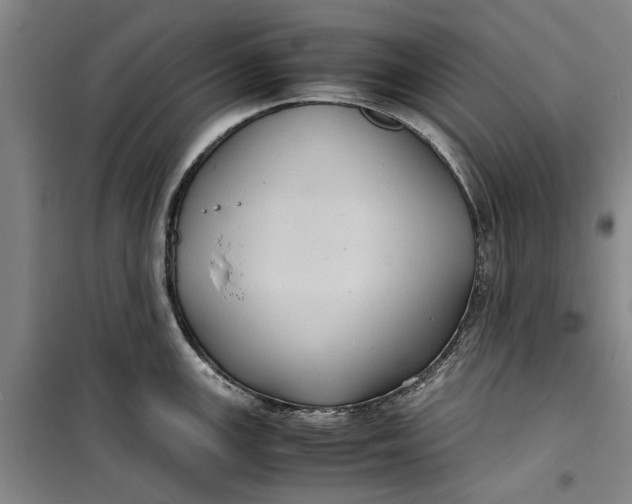 X0000099411147200805301340