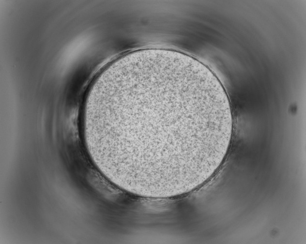 X0000099411150200805301340