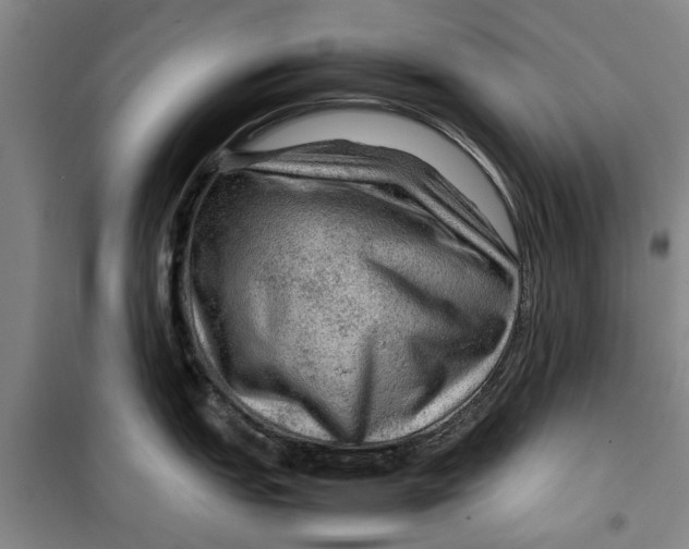 X0000099411151200805301340