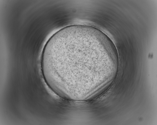 X0000099411152200805301340