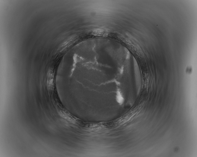 X0000099411154200805301339