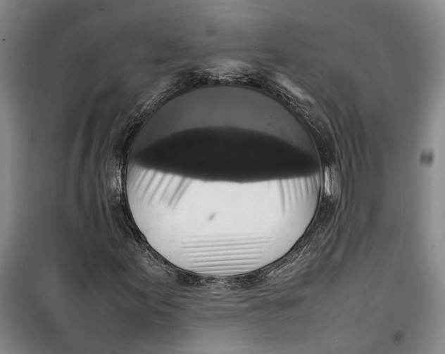 X0000099411155200805301339