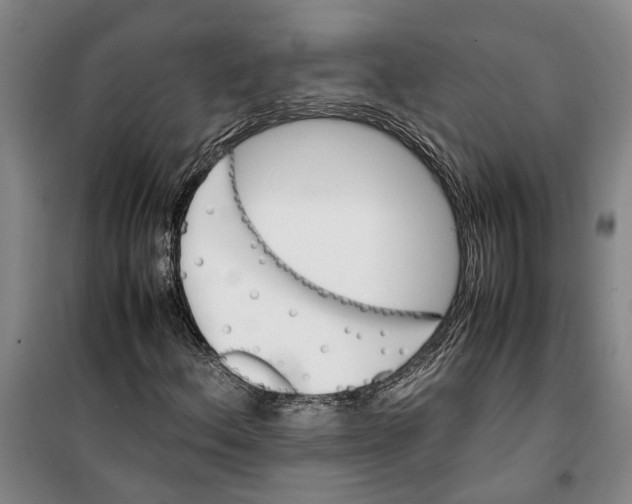 X0000099411156200805301339