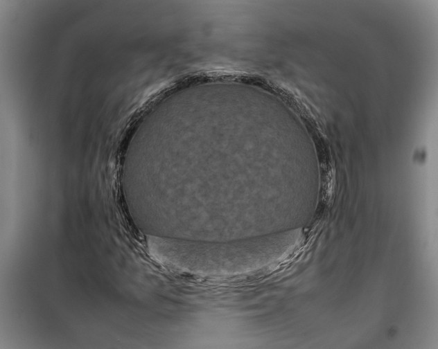 X0000099411157200805301339