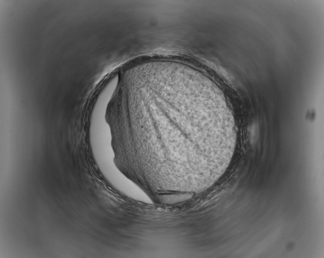 X0000099411160200805301339