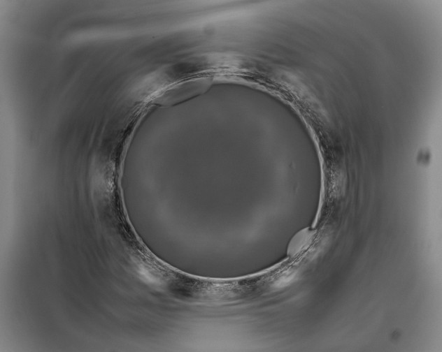 X0000099411161200805301339