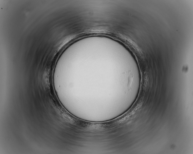 X0000099411162200805301339