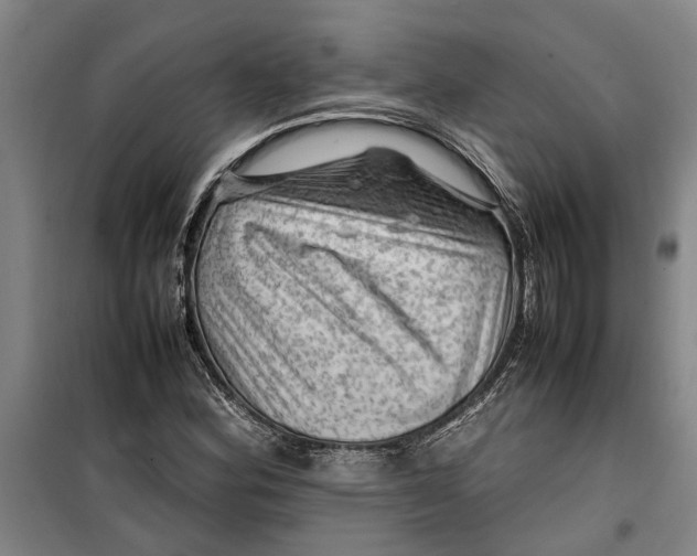 X0000099411164200805301339