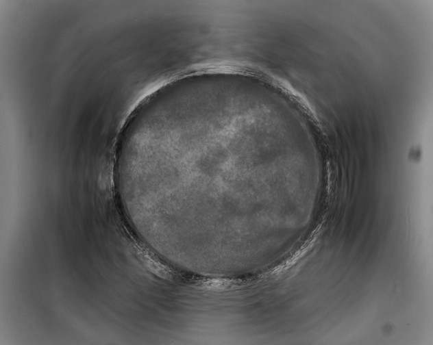 X0000099411166200805301339