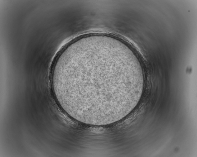 X0000099411168200805301339