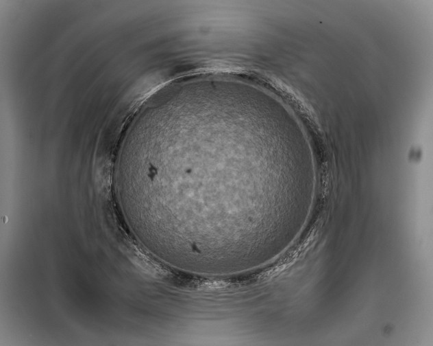 X0000099411169200805301339